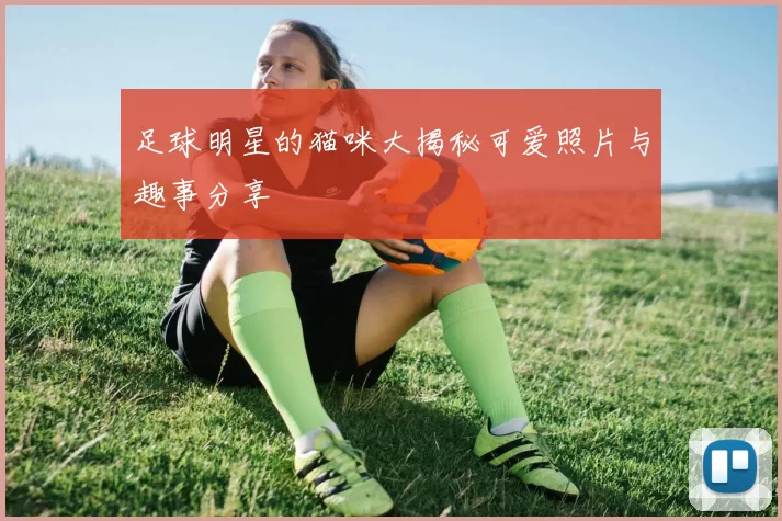 足球明星的猫咪大揭秘可爱照片与趣事分享